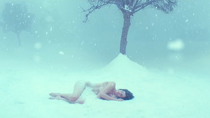 White-Bird-in-a-Blizzard