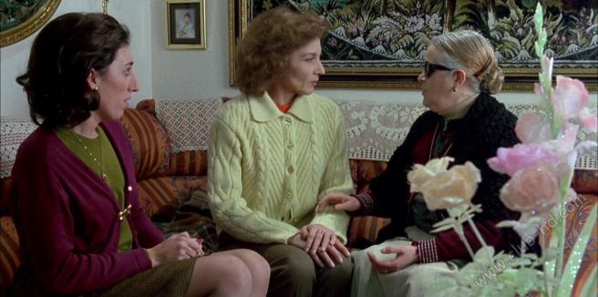 The_Flower_of_My_Secret-727999958-large